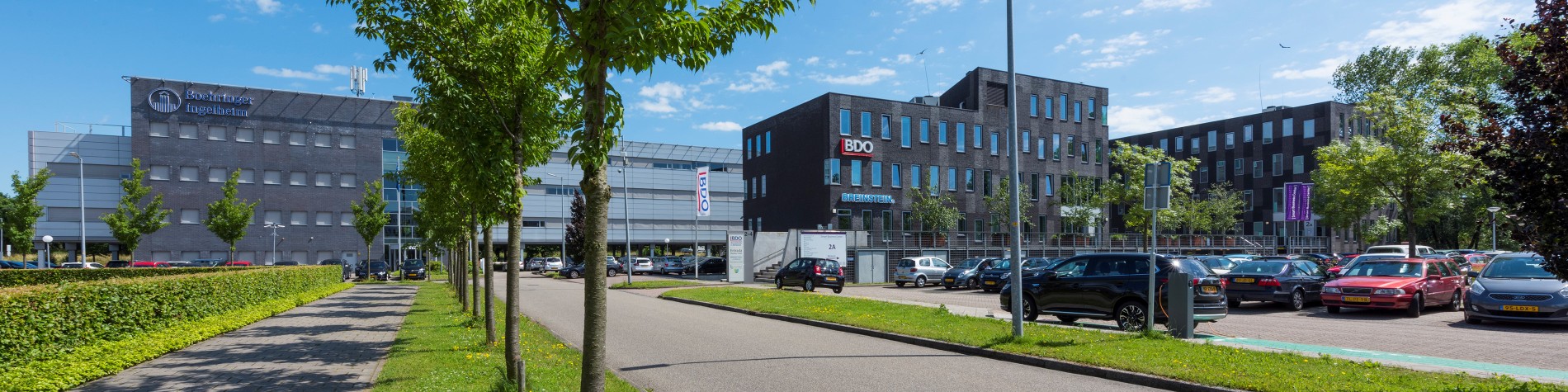 BDO Alkmaar