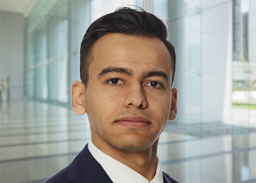 Mateus Riad, BSc., Lead Ethical Hacker | BDO Digital 